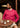 SWEAT VIGNE FRAMBOISE 100% COTON