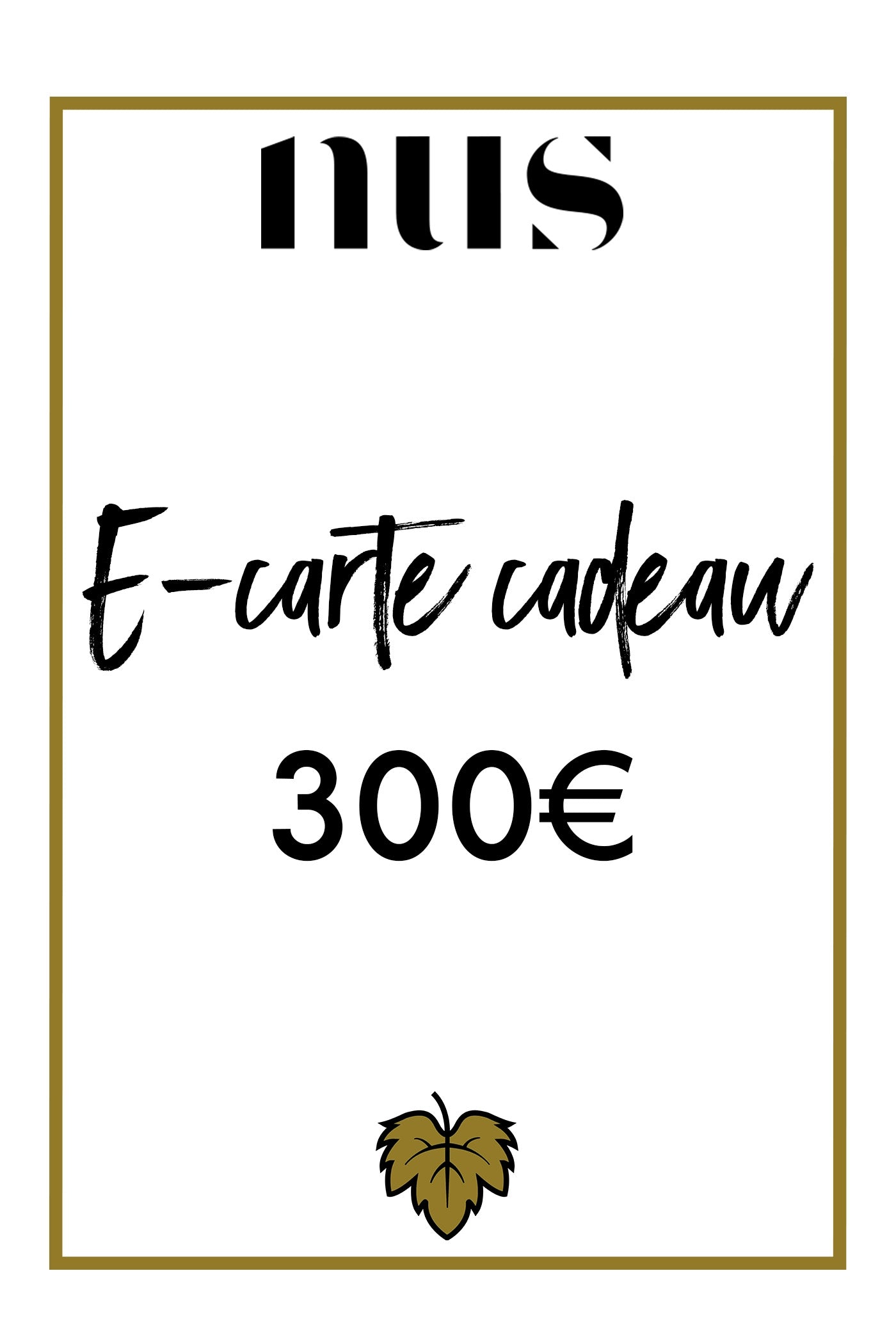 E-CARTE CADEAU 300€