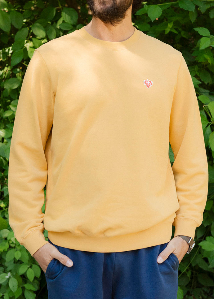 SWEAT VIGNE MOUTARDE 100% COTON